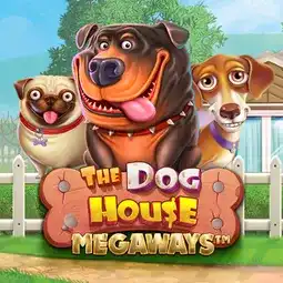The Dog House Megaways gra w Wazbee Casino dla graczy z Polski