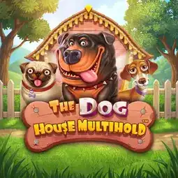 The Dog House Multihold gra w Wazbee Casino dla graczy z Polski